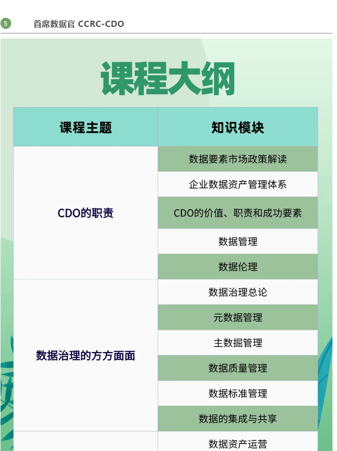 0007首席数据官.png 0007首席数据官.png